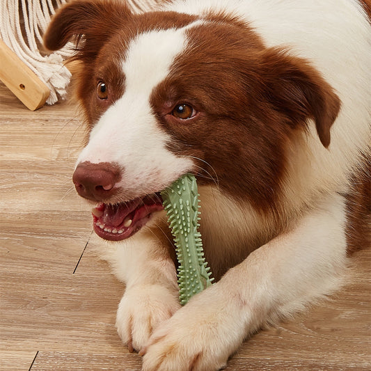 Chew Toys for Dog Teeth Cleaning - Hexagonal Design