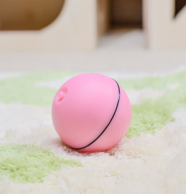 LED Laser Rolling Cat Toy Ball - Fun for Your Pet