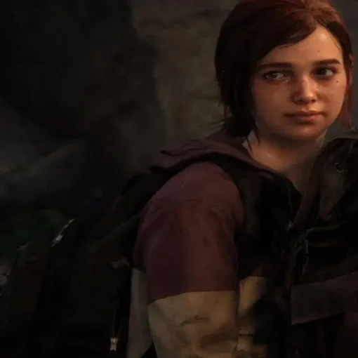 The Last Of Us Part II Ellie Hoodie